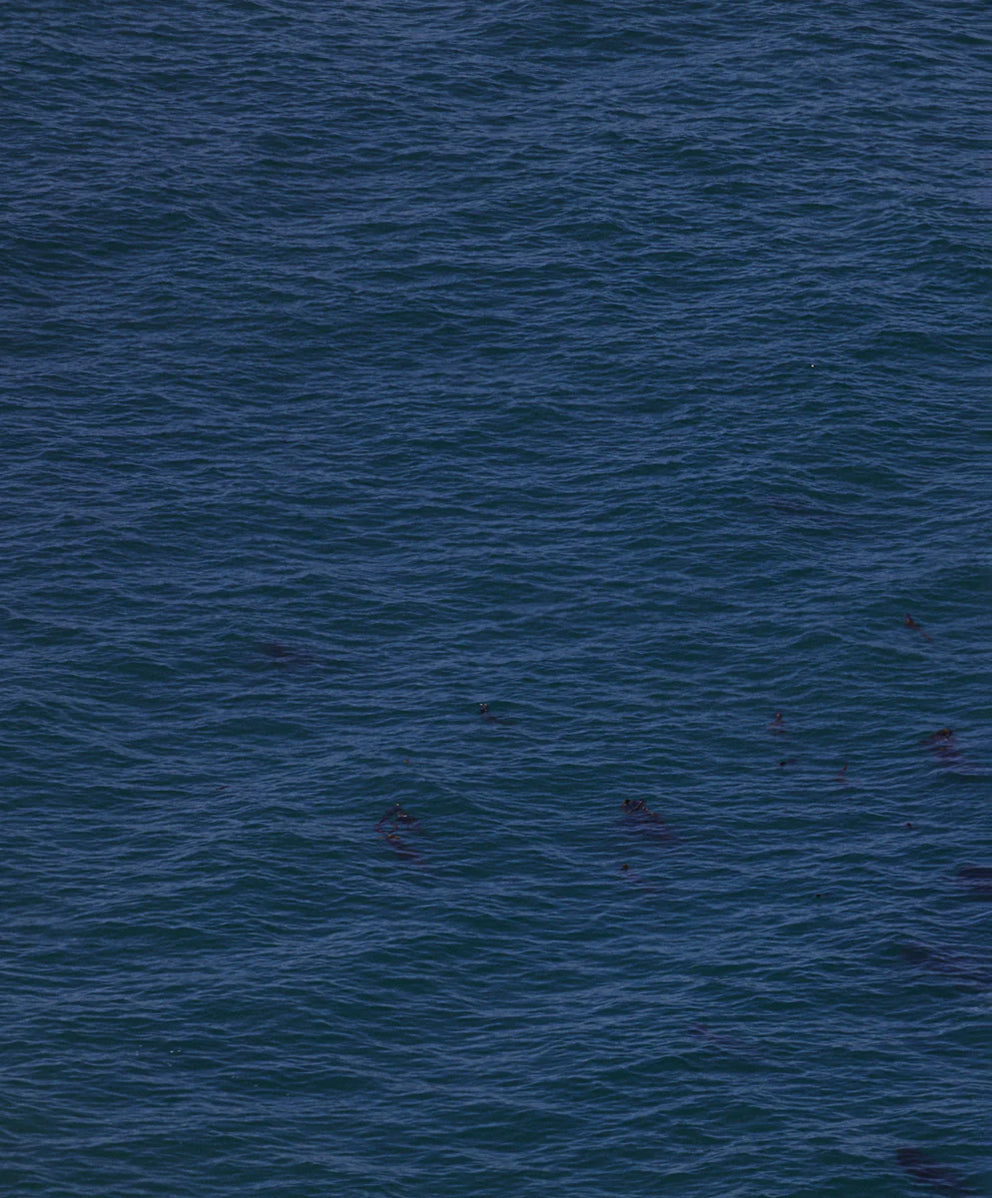 ザ ビッグ ヘビー ティーシャツ