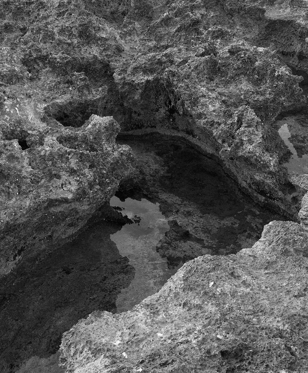 ザ スタジオ シャツ