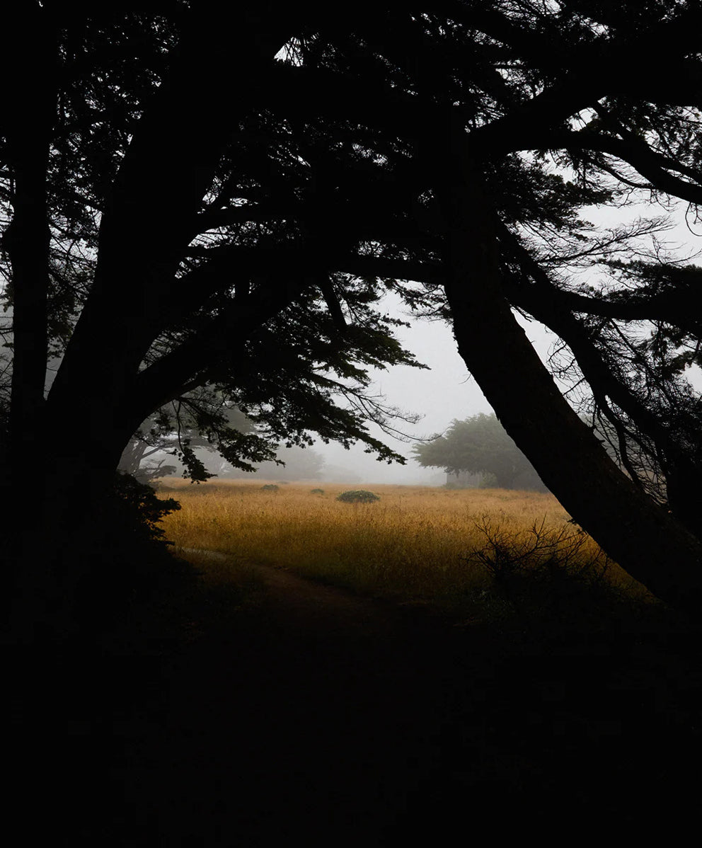 ＜SALE＞【ウィメンズ】ウエストバウンド ユーティリティパンツ