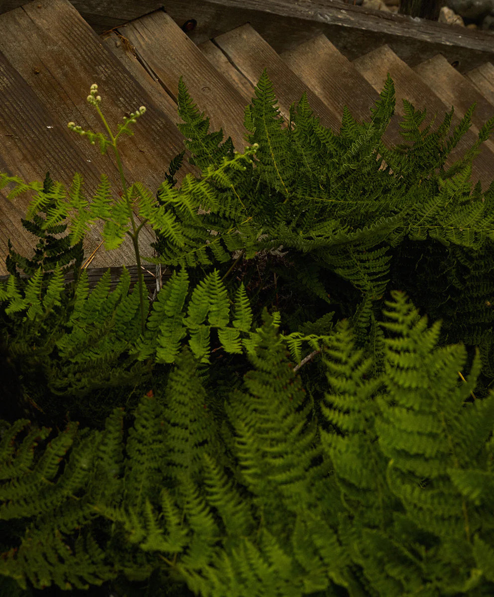 ＜SALE＞【ウィメンズ】ウエストバウンド ユーティリティパンツ