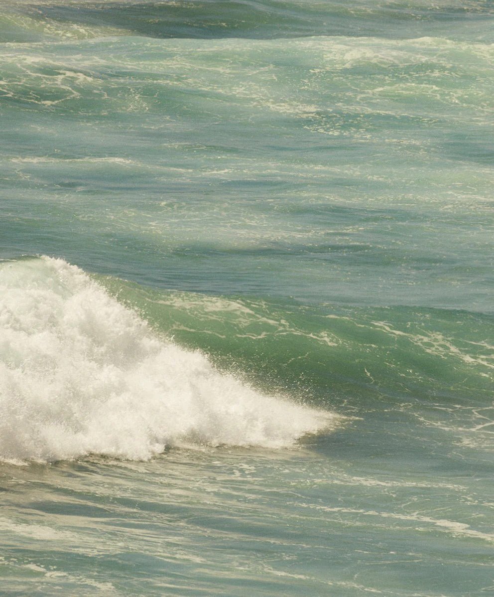 ＜SALE＞【ウィメンズ】ハイタイド シャツ