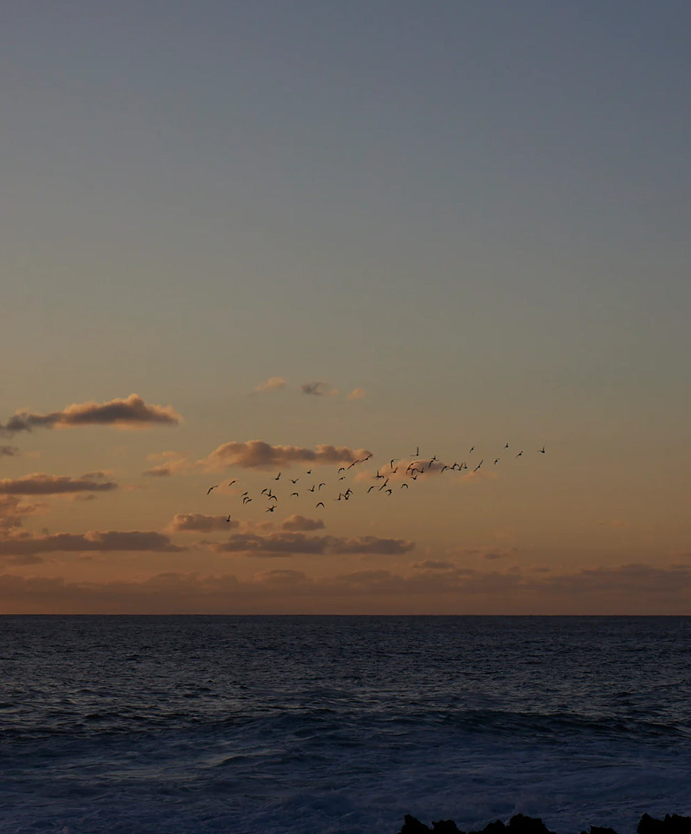 ＜SALE＞【ウィメンズ】ハイタイド シャツ