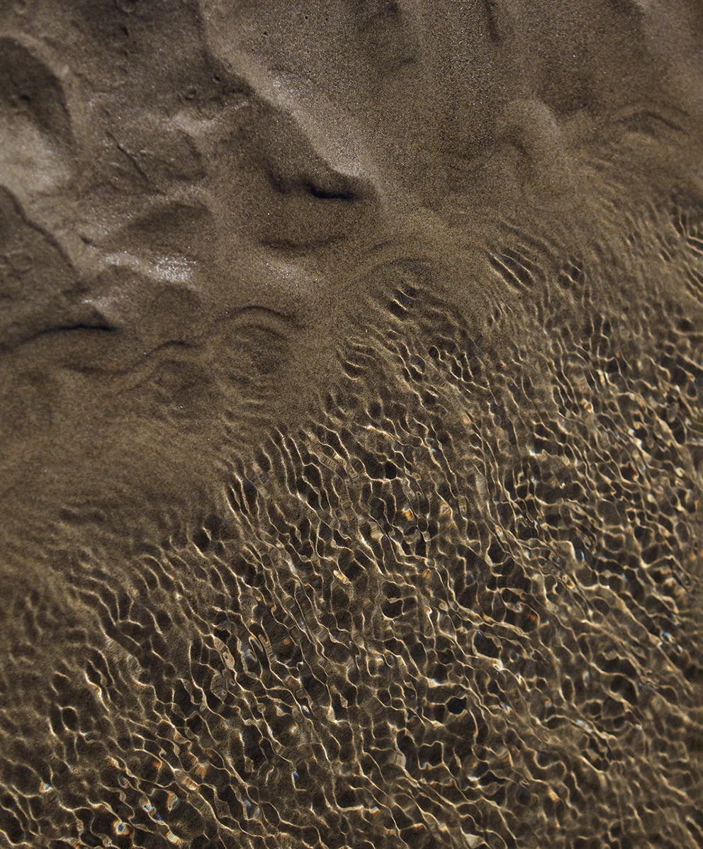 ＜SALE＞【ウィメンズ】エクリプス ボードショーツ