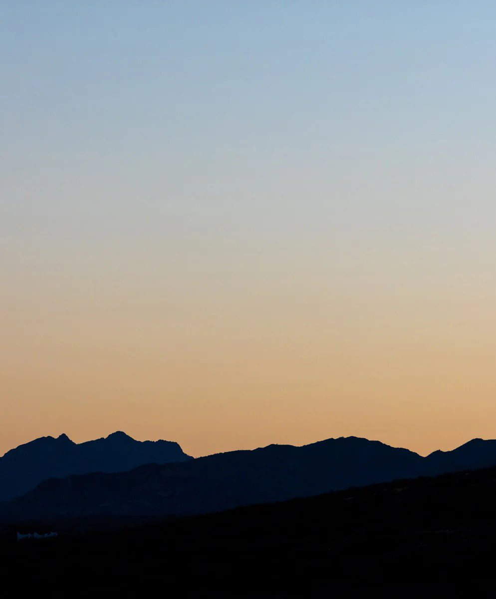 ＜SALE＞エイペックス スイムトランクス バイ ケリー・スレーター