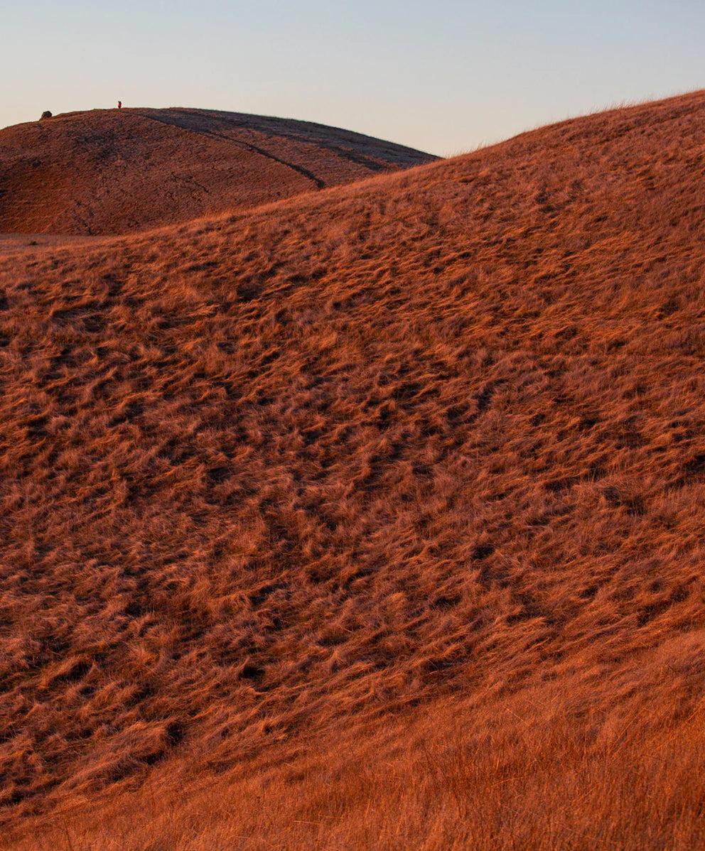 ＜SALE＞セブンティーセブン コーデュロイ ユーティリティ ショーツ