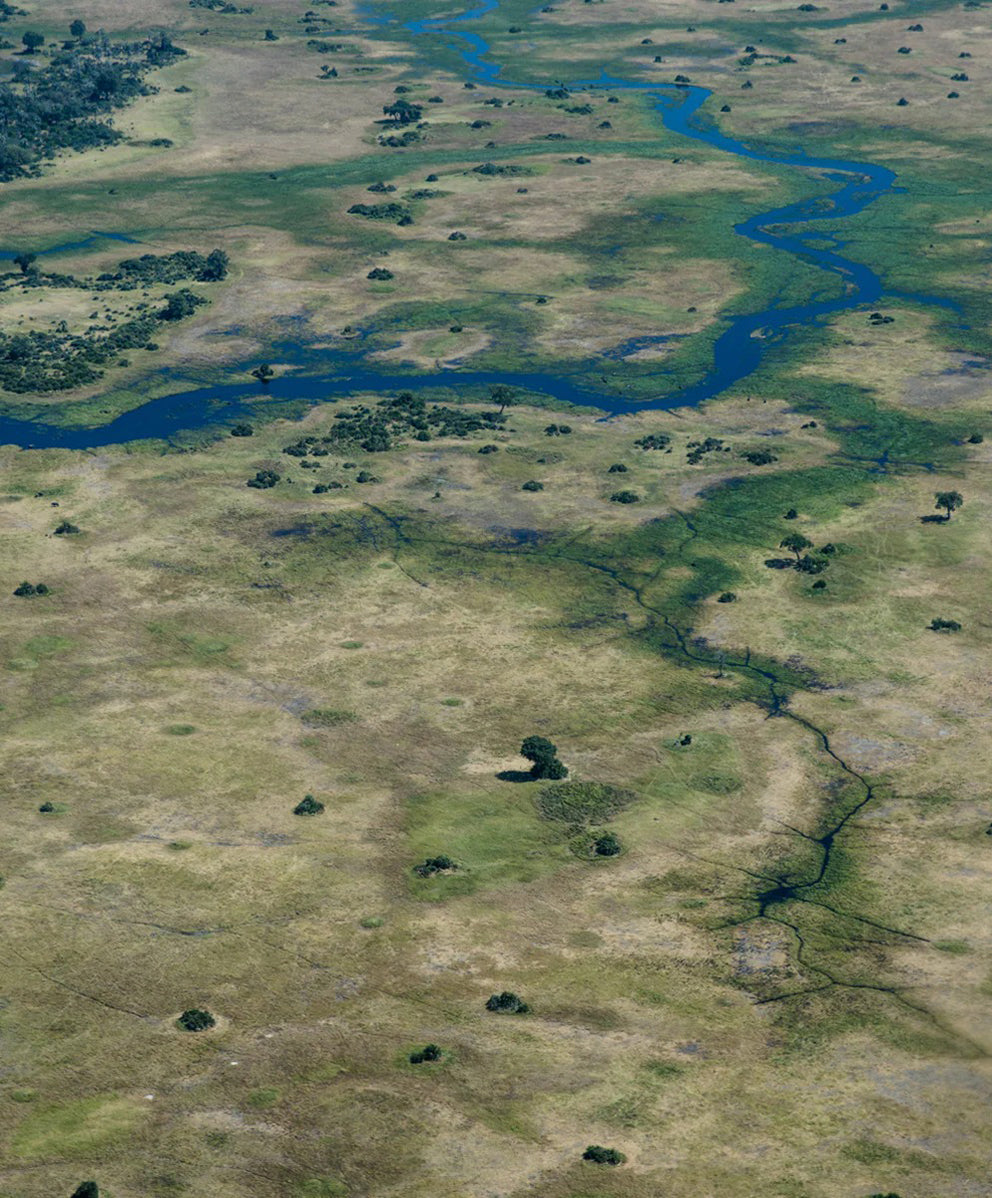 ＜SALE＞ノマド チノ パンツ