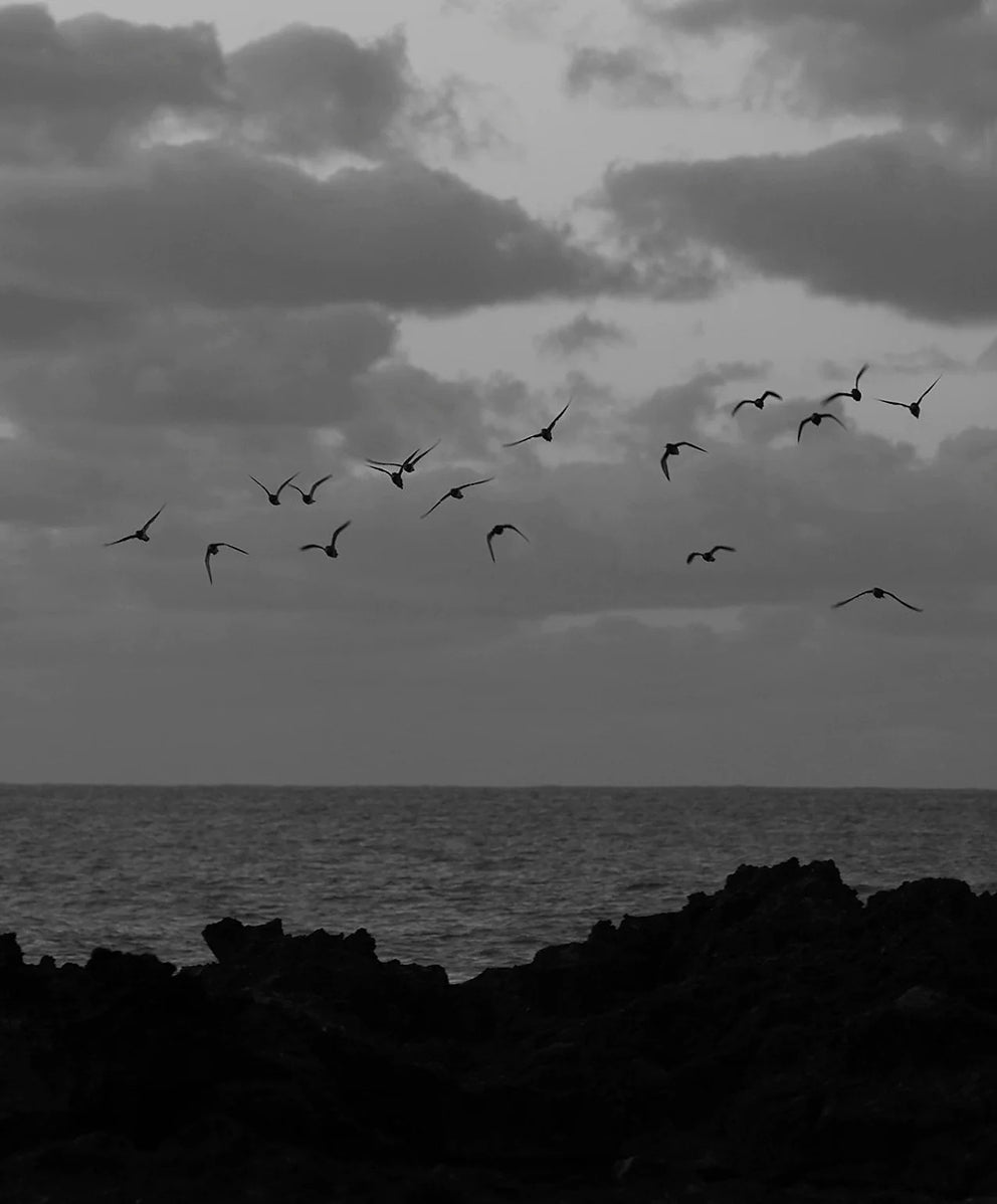 ＜SALE＞ノマド チノ パンツ