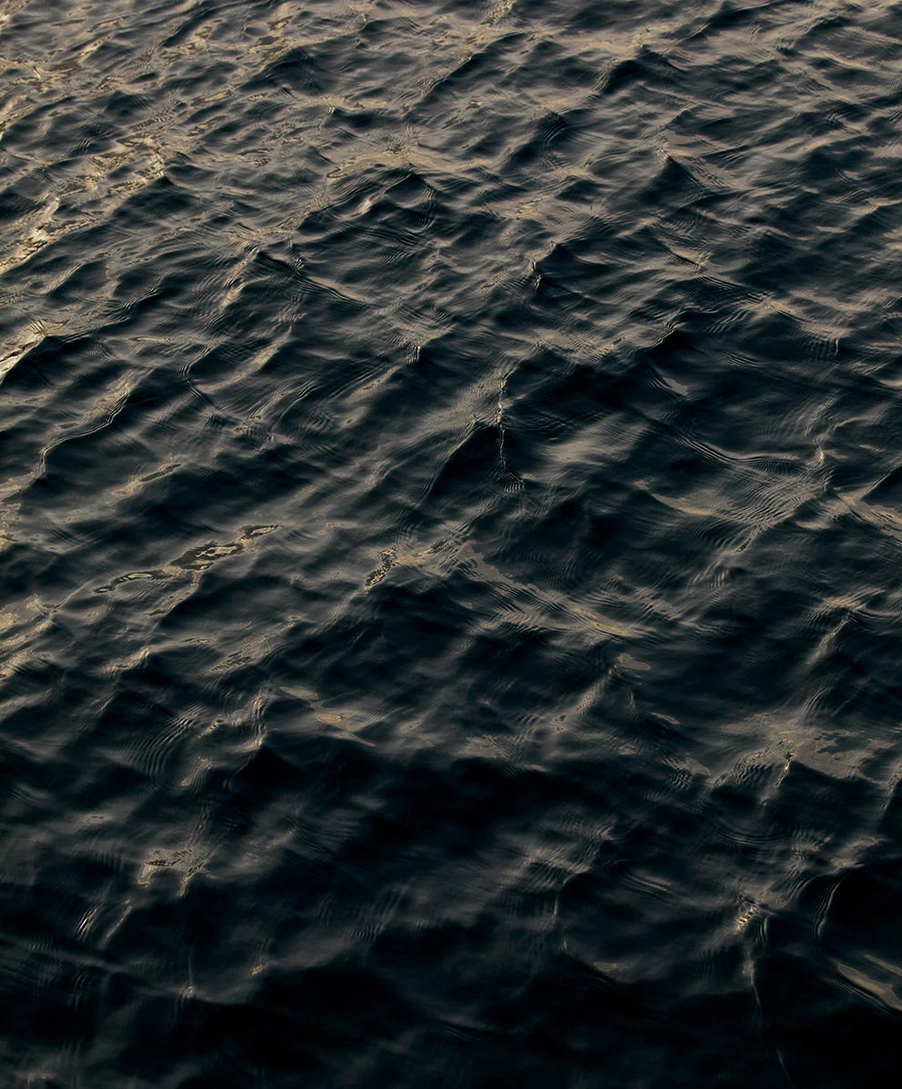 ＜SALE＞ノマド チノ ショートパンツ