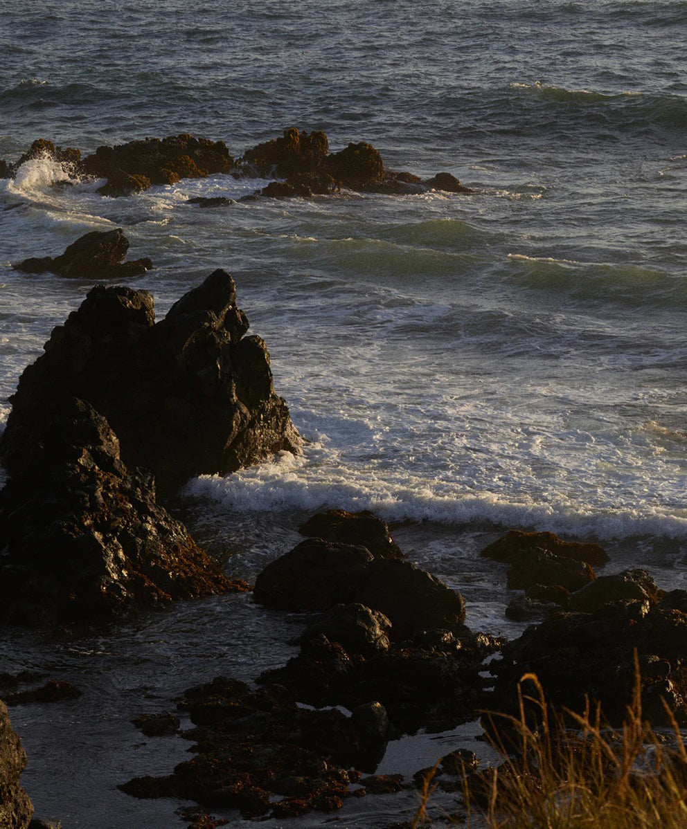 ＜SALE＞ノマド チノ ショートパンツ