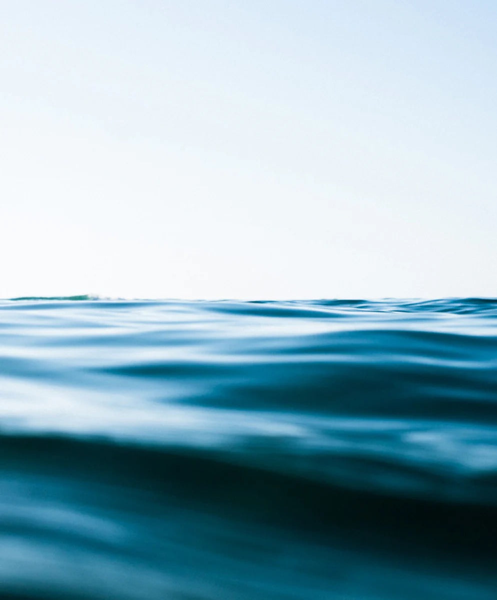 ＜SALE＞ハイタイド スウェットパンツ