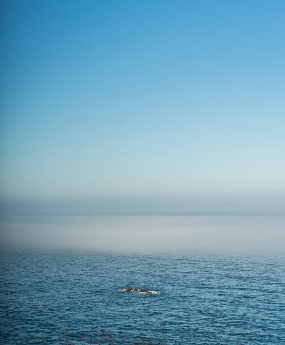 ＜SALE＞エイペックス スイムトランクス バイ ケリー・スレーター