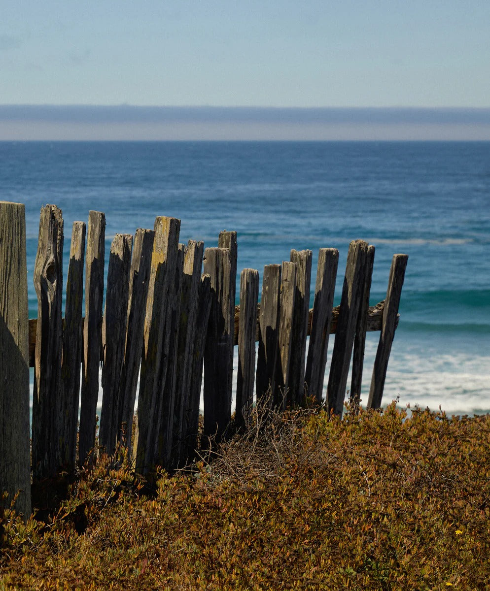 ＜SALE＞ハイタイド スウェット ショートパンツ