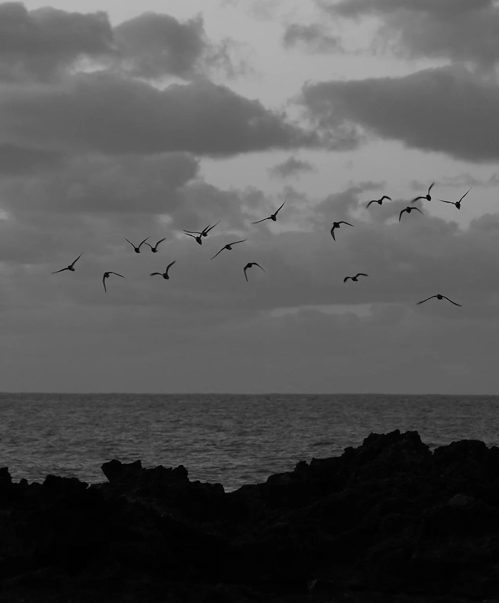 ＜一部SALE対象＞ソジョーン ポケットティーシャツ